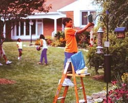 Boy filling feeder 