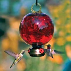 Parasol Dew Drop Hummingbird Feeder