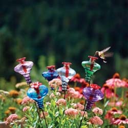 Mini Blossom Hummingbird Feeders