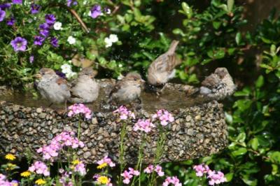 Group Bath