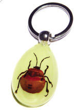 Real Bug Keychain