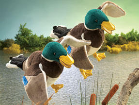 Mallard Puppet