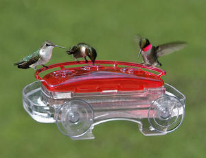 Jewel Box Window Hummingbird Feeder