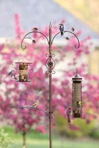 APS Decorative Cinnamon Pole Set up