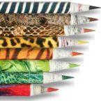 O'Bon Pencils Crayons made from recylced newspapers