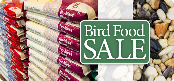 Bird Food Sale