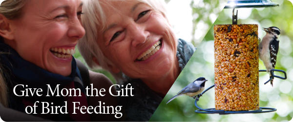 Give Mom the Gift of Bird Feeding
