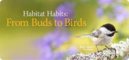 Create a Bird Habitat